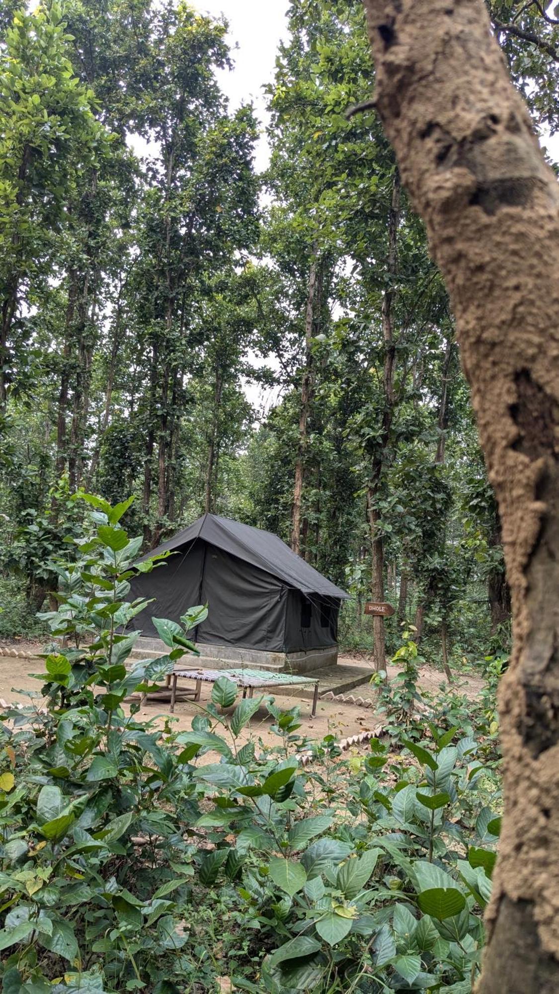 Athulyam Kanha, Kanha National Park, Mukki Gate Khapa  Luaran gambar