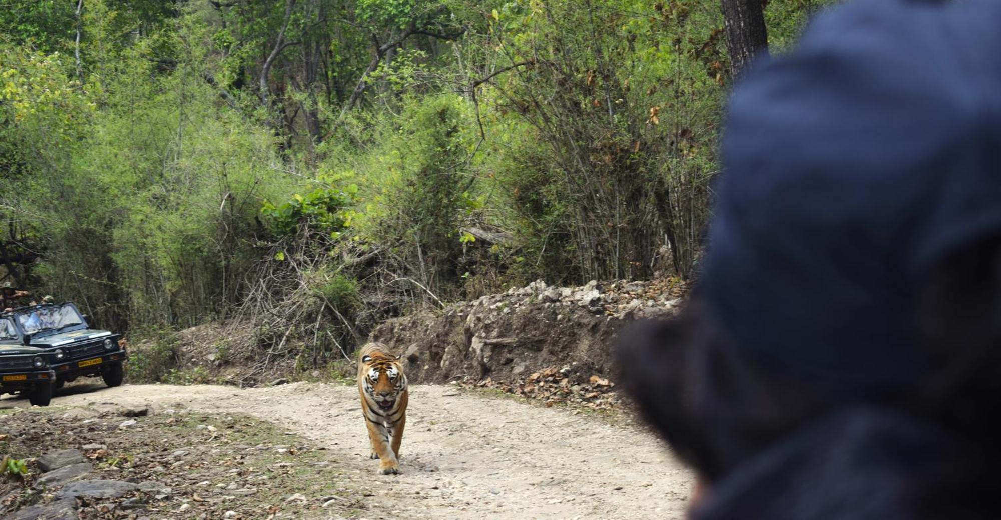 Athulyam Kanha, Kanha National Park, Mukki Gate Khapa  Luaran gambar